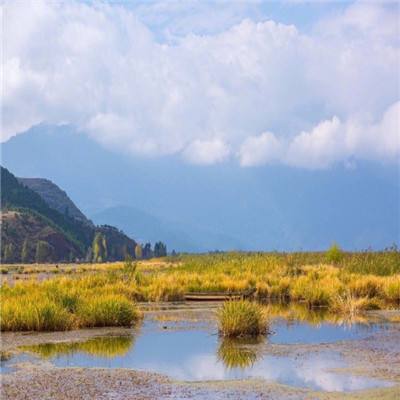 屠仙记手游官方(暂未上线)v1.1 安卓版